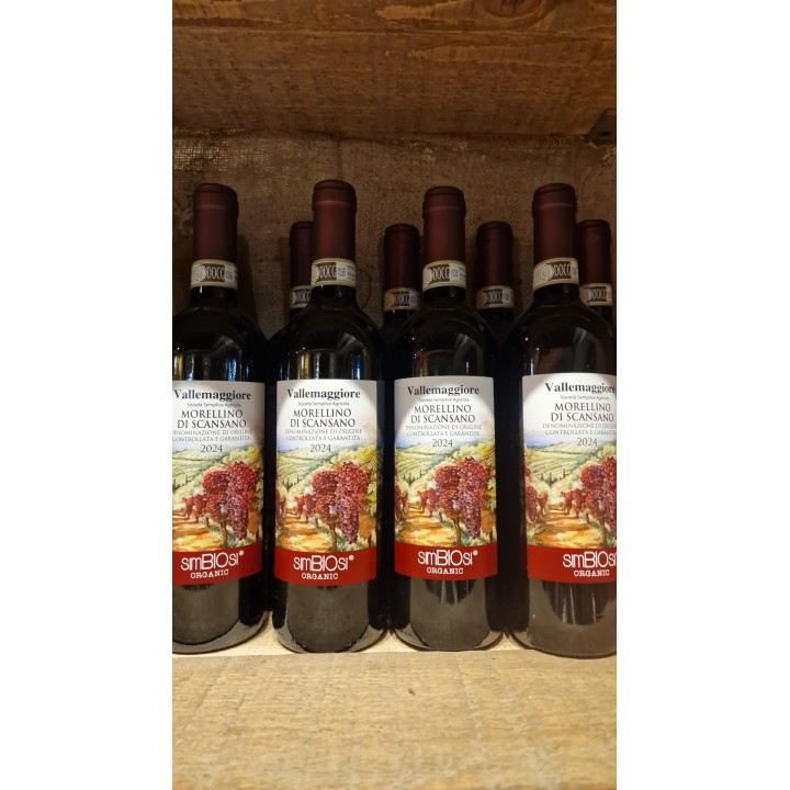 Morellino di Scansano 2024